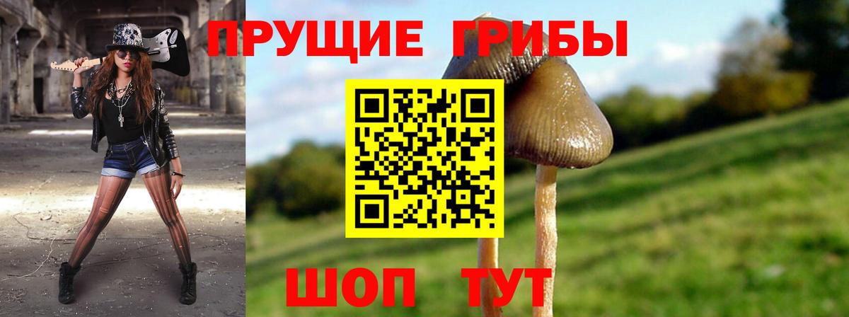 Псилоцибиновые грибы MAGIC MUSHROOMS  Вход с VPN  Уварово 
